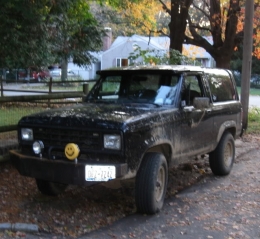 Eddie Bauer Black Sunshine