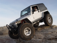 Hyline Hemi