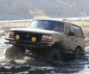 XLT