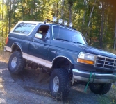 The Beast