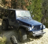 TJ
