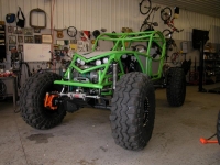 Iguana Buggy