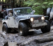 TJ Sport