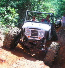 Buggy