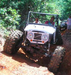 Buggy