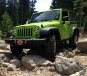 Gekko Renegade