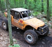 Rhino