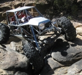 Buggy
