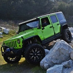 Rubicon Gecko